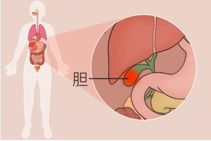 ERCP技術(shù)：為膽胰疾病患者打開“生命通道”